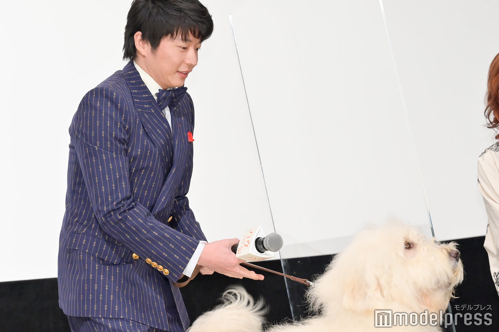 ベックを落ち着かせる田中圭（C）モデルプレス