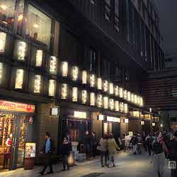 12月中旬開花・仲通り/画像提供:三井不動産