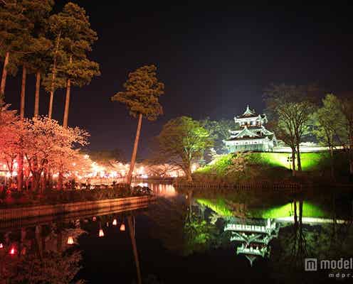 夜景のプロが選ぶ「日本三大夜城」が決定