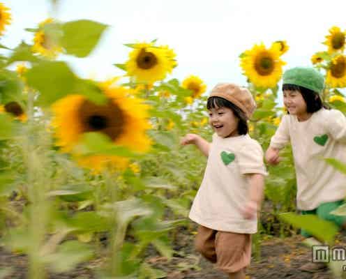 「可愛すぎる」グリーンダカラちゃん姉妹が1年ぶり、2人の成長にスタッフどよめき