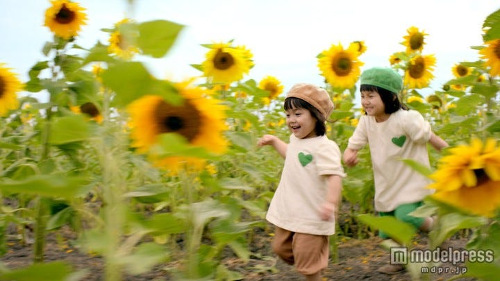 可愛すぎる グリーンダカラちゃん姉妹が1年ぶり 2人の成長にスタッフどよめき モデルプレス 可愛すぎる グリーンダカラちゃん姉妹が1年ぶり 2人の成長にスタッフどよめき モデルプレス