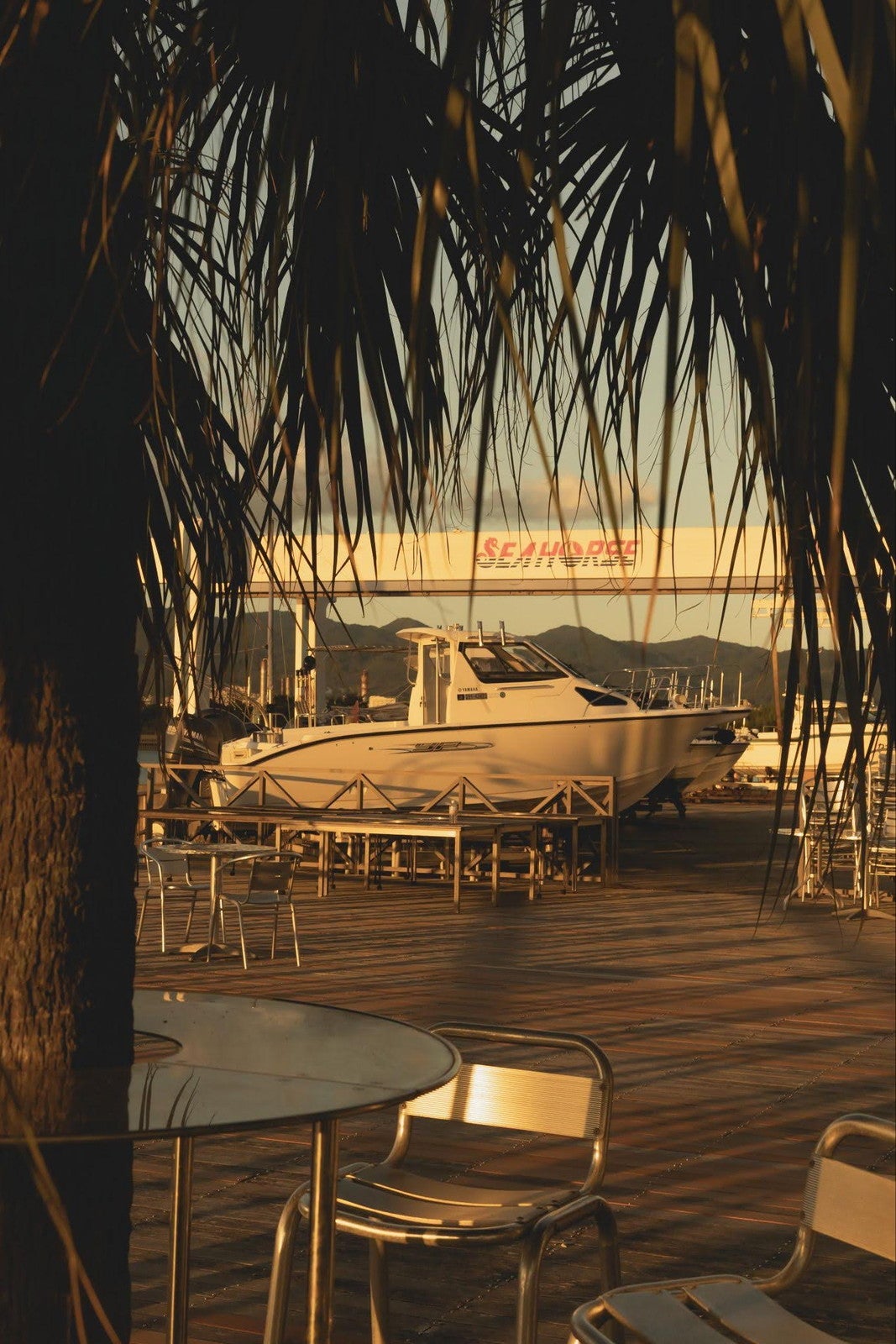 ユウナギ カフェ（提供写真）