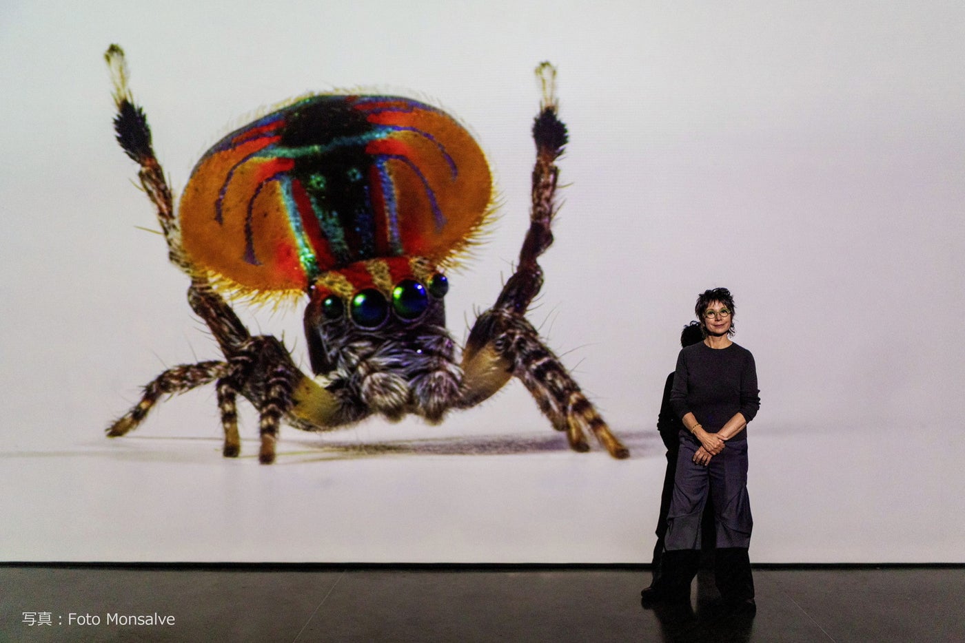 Spiders of Paradise_写真:Foto Monsalve