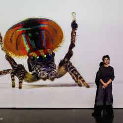 Spiders of Paradise_写真:Foto Monsalve