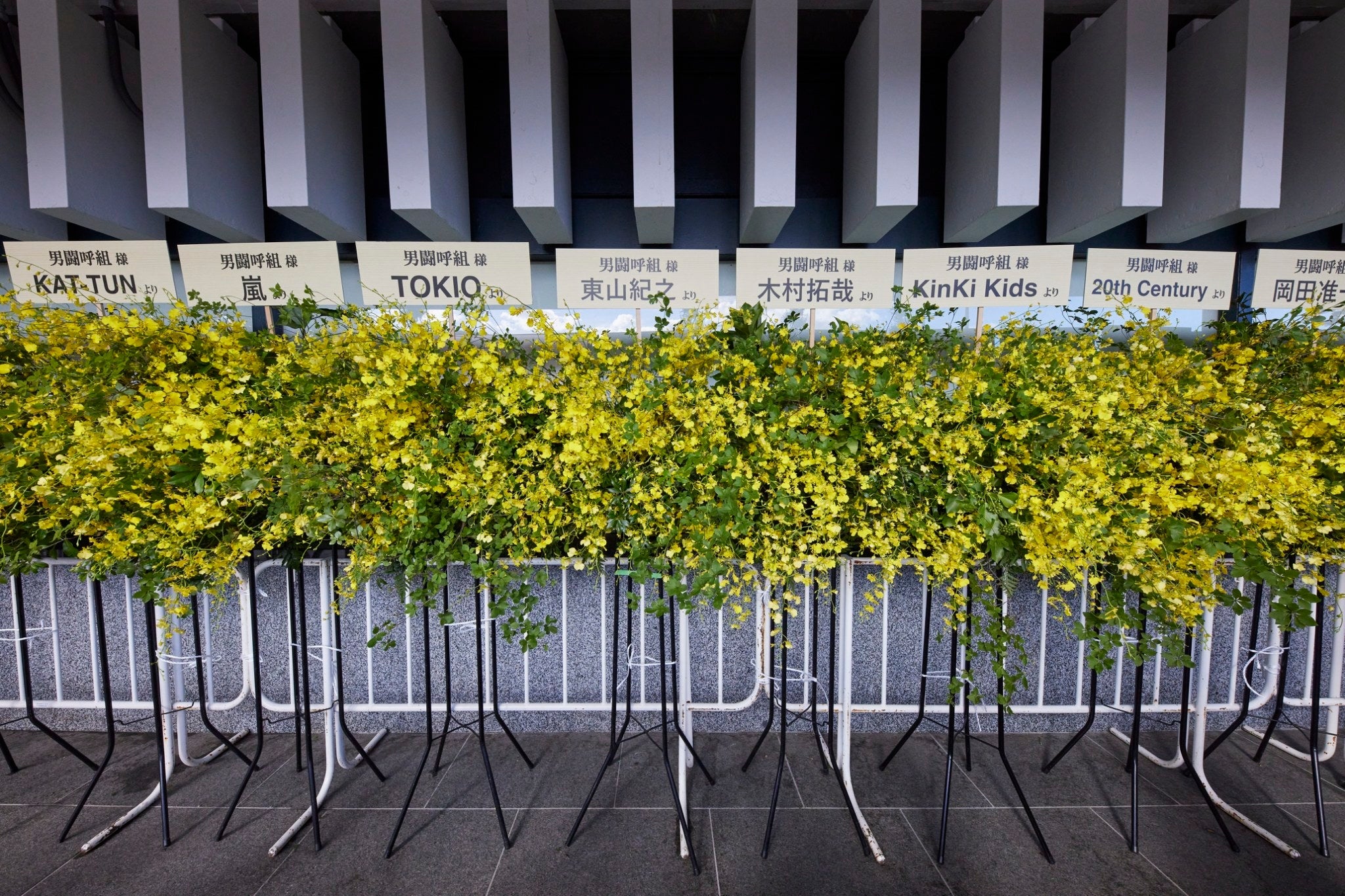 男闘呼組「LASTFOREVER」より（提供写真）