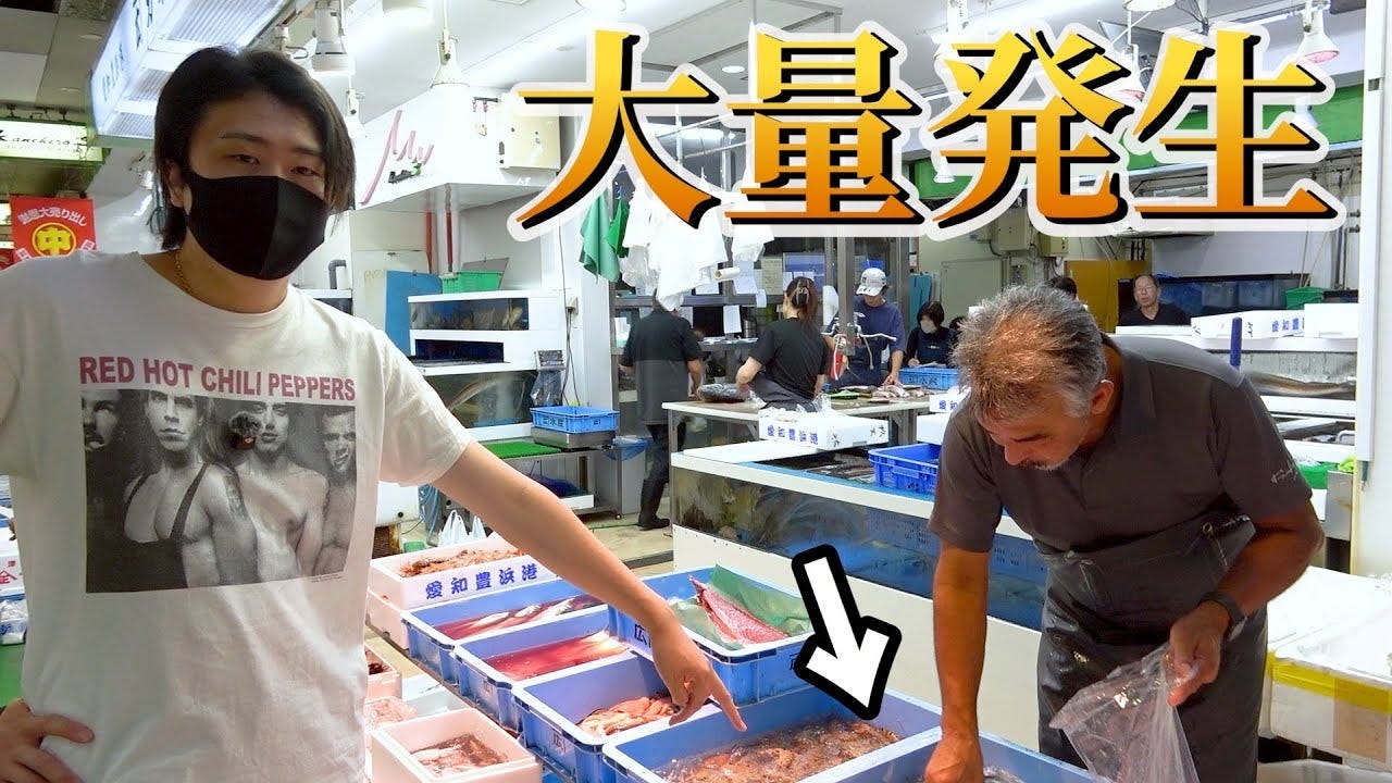 さんまだけじゃない！9月に食べるべき魚は〇〇！？「びっくりするくらい安い」