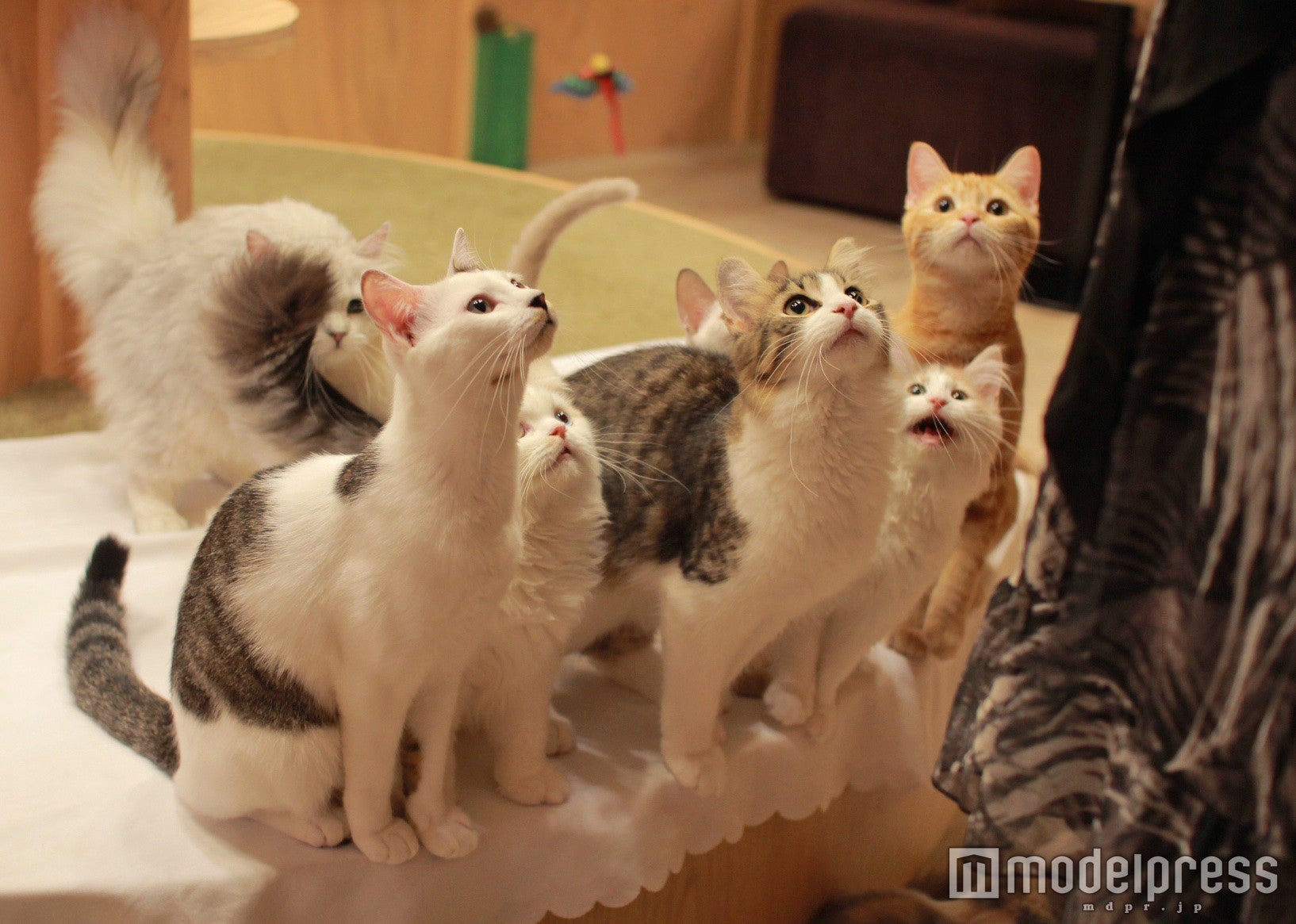 池袋店おやつタイム／画像提供：モカ