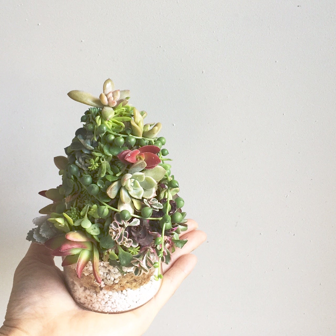 ワークショップ／画像提供：Francfranc