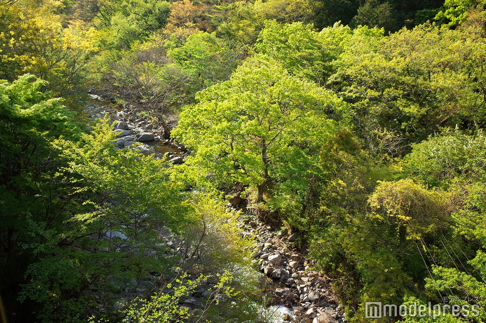 星野リゾート　界 箱根（C）モデルプレス