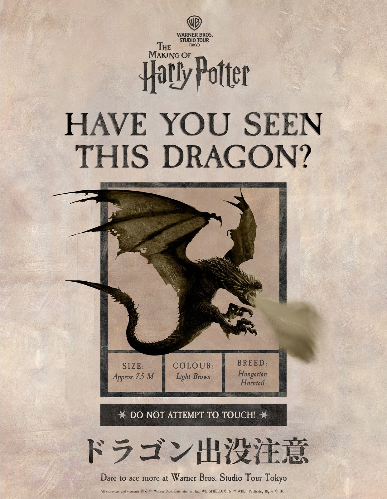 「ドラゴン出没」イベント概要／提供画像