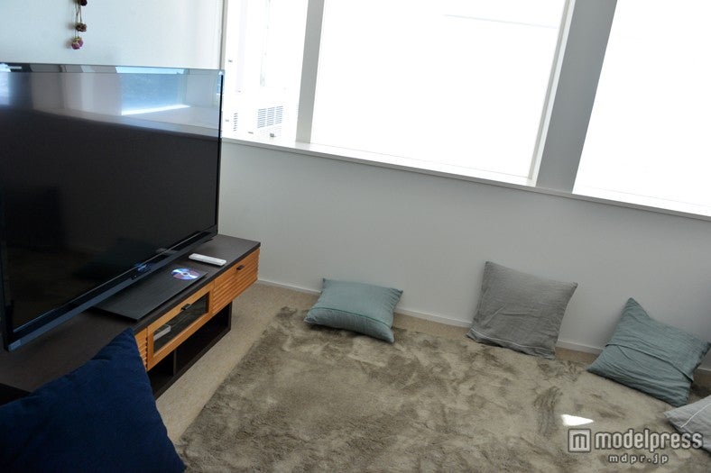 シアタールーム／テラスハウス