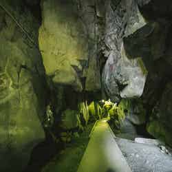 祇園神社/画像:ぱくたそ