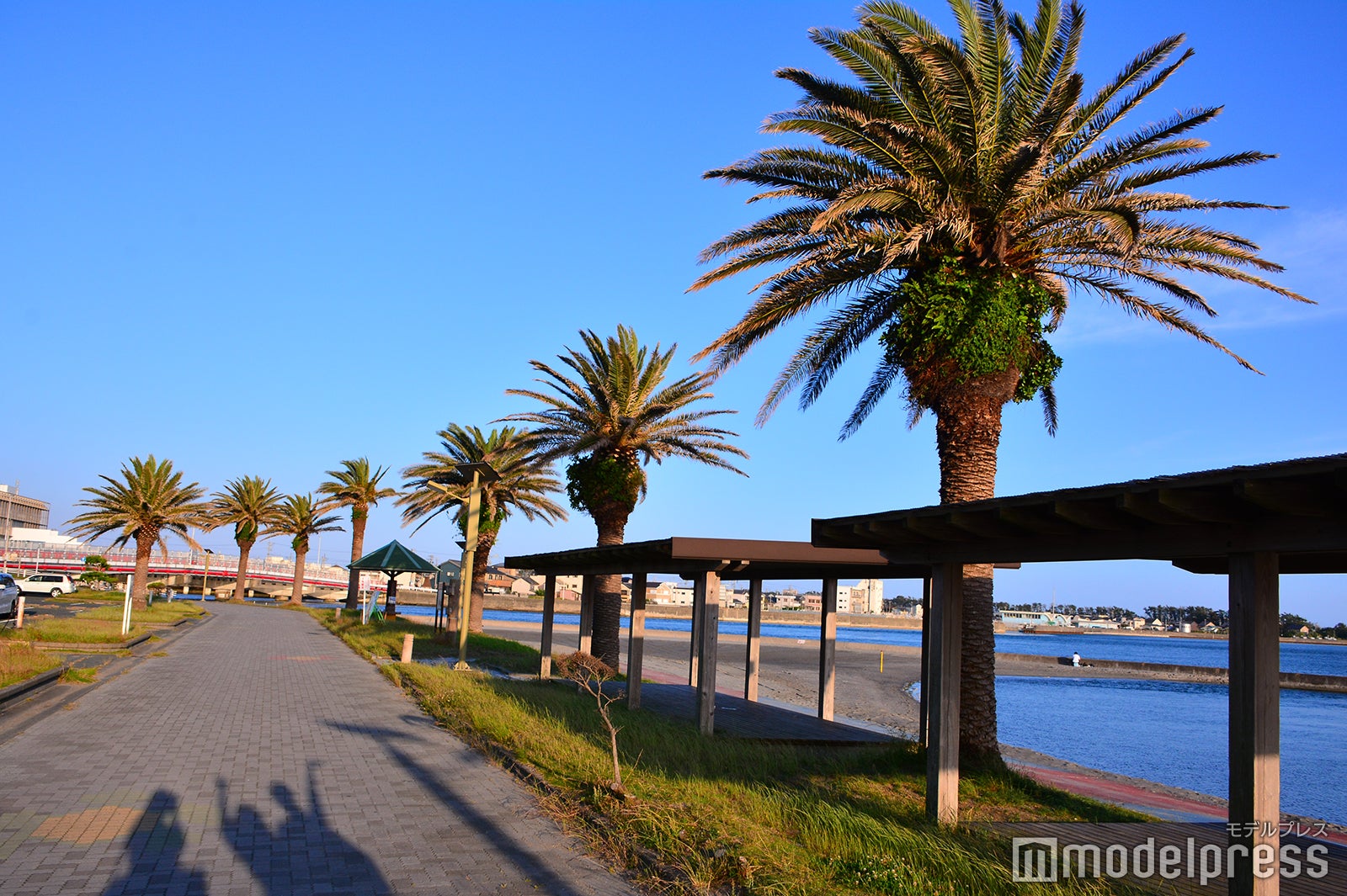 特別観戦ツアー応募サイト