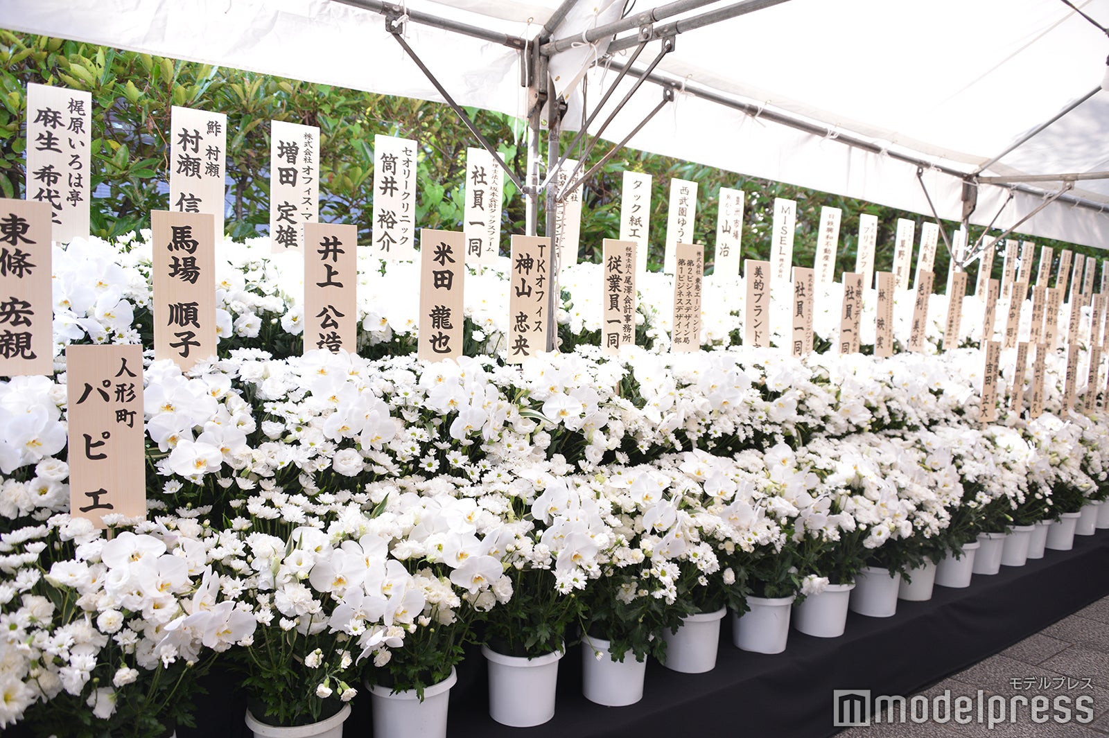 川村龍夫会長に贈られた供花（C）モデルプレス