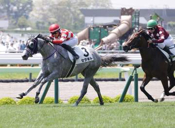 【新馬戦】セタキト 低評価覆し初陣V 鷲頭「追って味がありました」