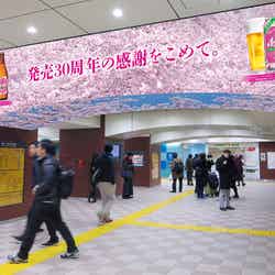 吉祥寺駅と上野駅は4月2日までピンク色に