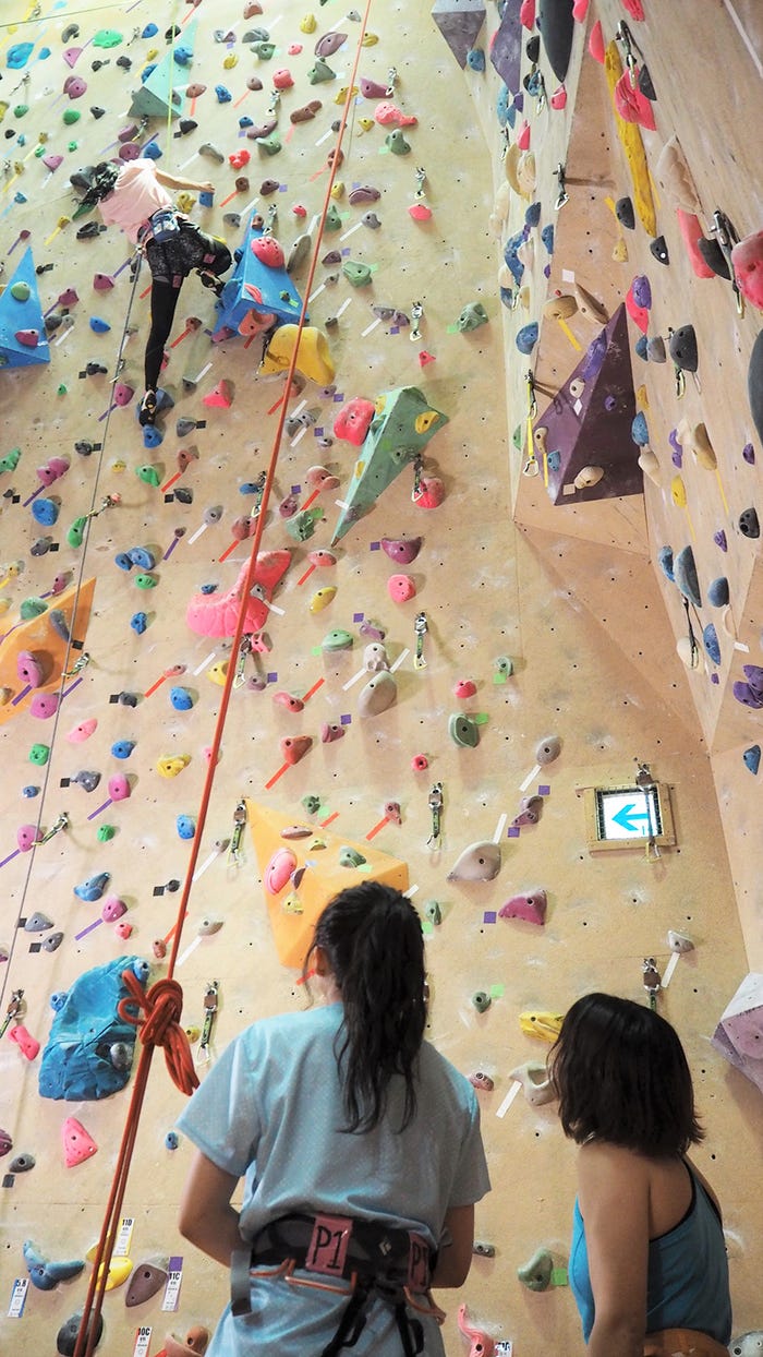 (提供画像) (提供画像)