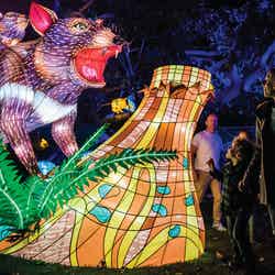 光のオブジェも市内のあちらこちらに/Destination NSW