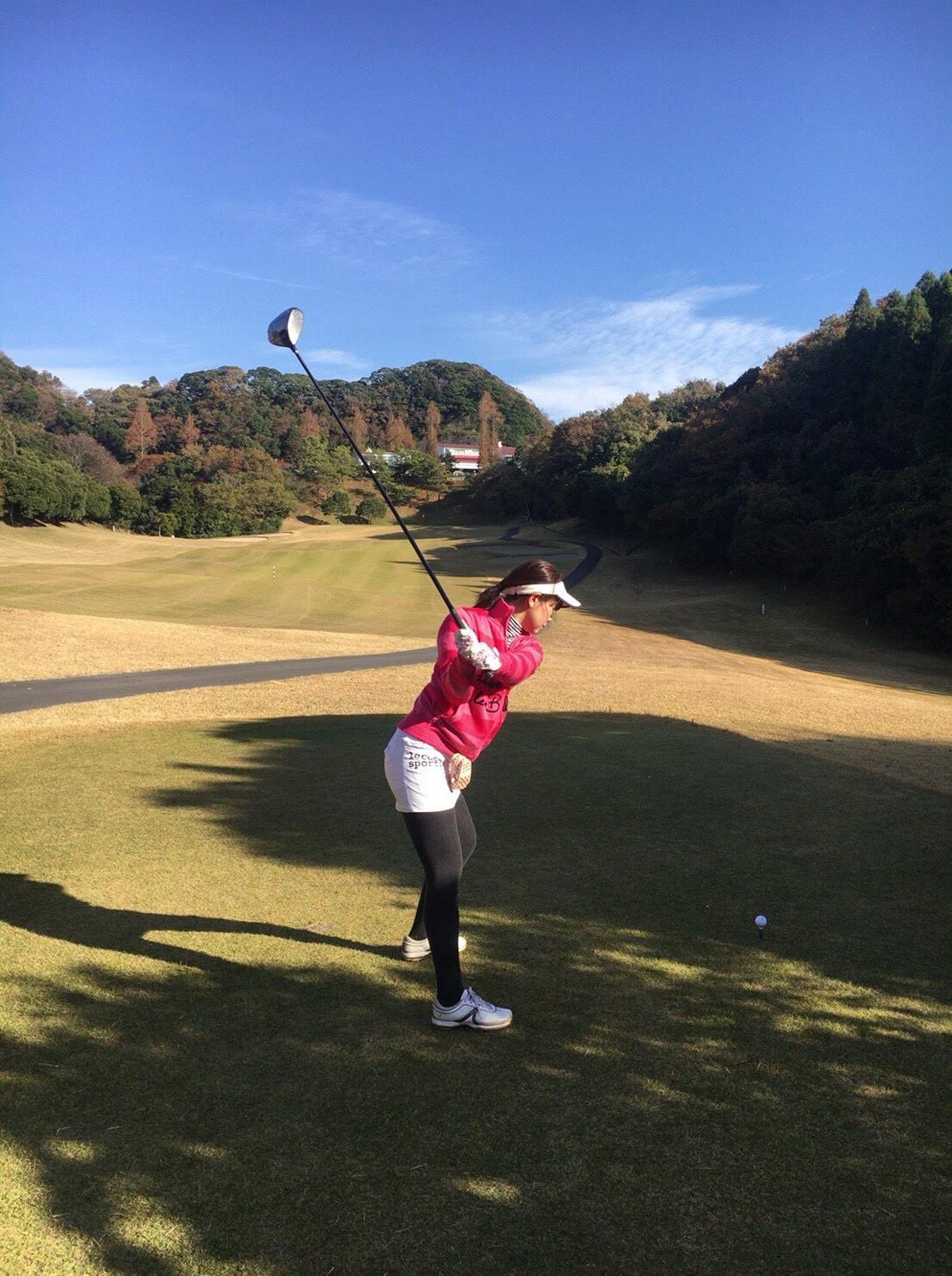 ゴルフの様子（提供写真）