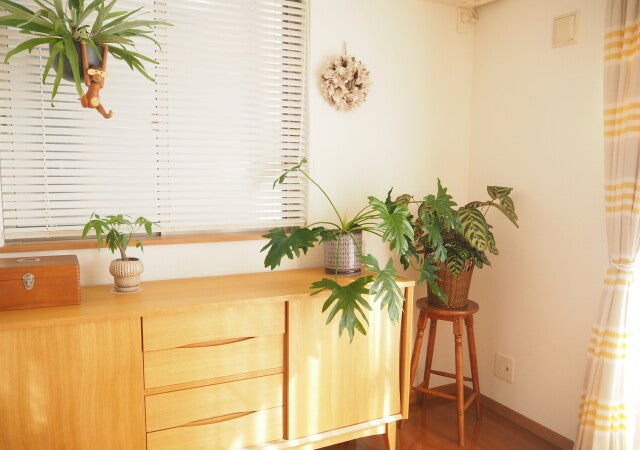 片付けがしんどい人へ。あなたの暮らしはあなたの自由！プロが教える「挫折しない片付け方」