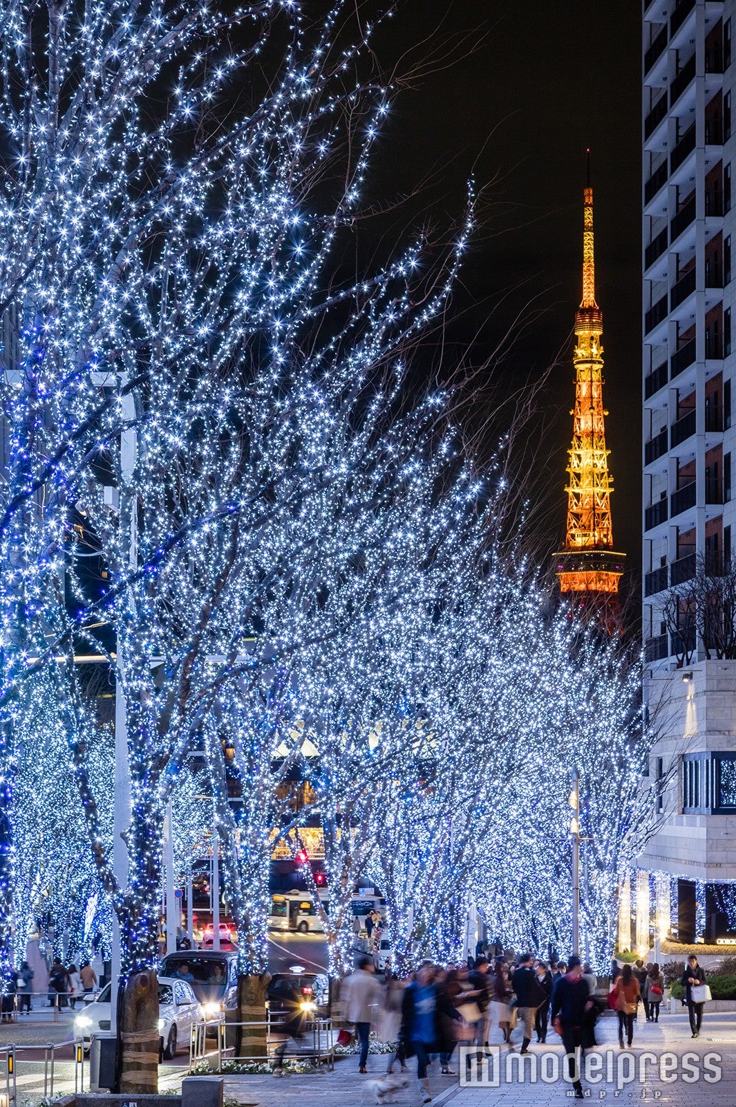 冬の風物詩となった寒色系のイルミネーション“SNOW＆BLUE”／画像提供：六本木ヒルズ