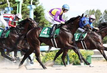 【レパードS】チェリヴェント 上位人気馬一蹴！重賞初V 吉村が強さに驚き「まだ出来上がってない。今後が楽しみ」