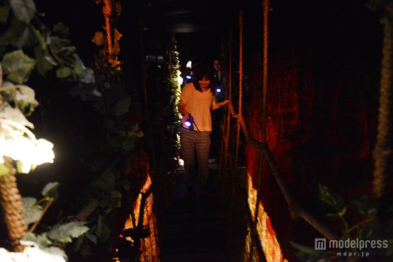 暗がりを懐中電灯片手に探検