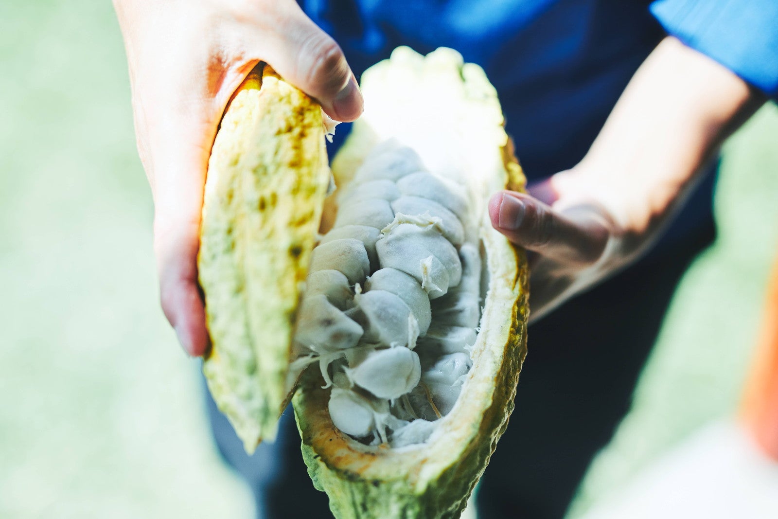 ※画像はイメージ（提供写真）