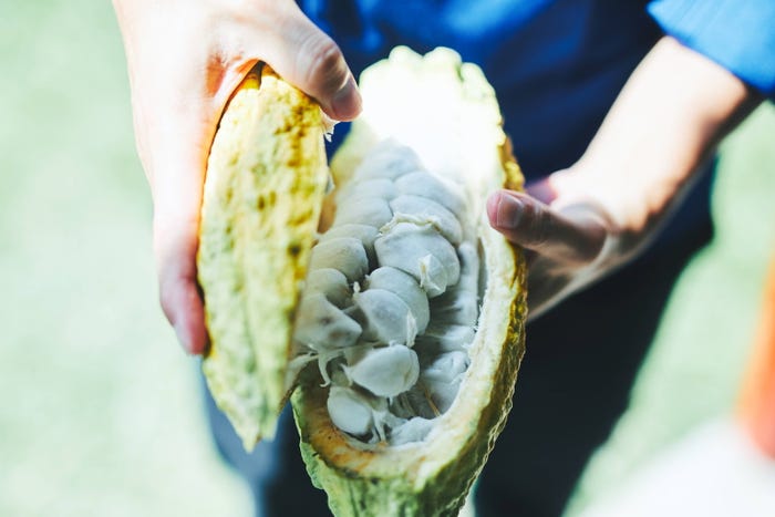 ※画像はイメージ(提供写真)