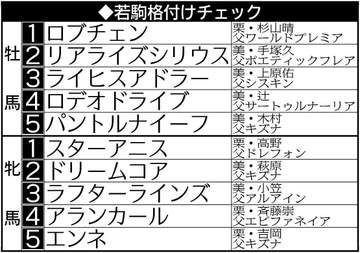 【若駒格付けチェック】1位はロブチェン＆スターアニス 牡馬は皐月賞組が上位独占も牝馬は2位以下混戦