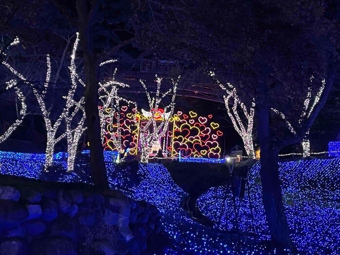 暗闇に出現した華やかな「ハートフルイルミネーション」