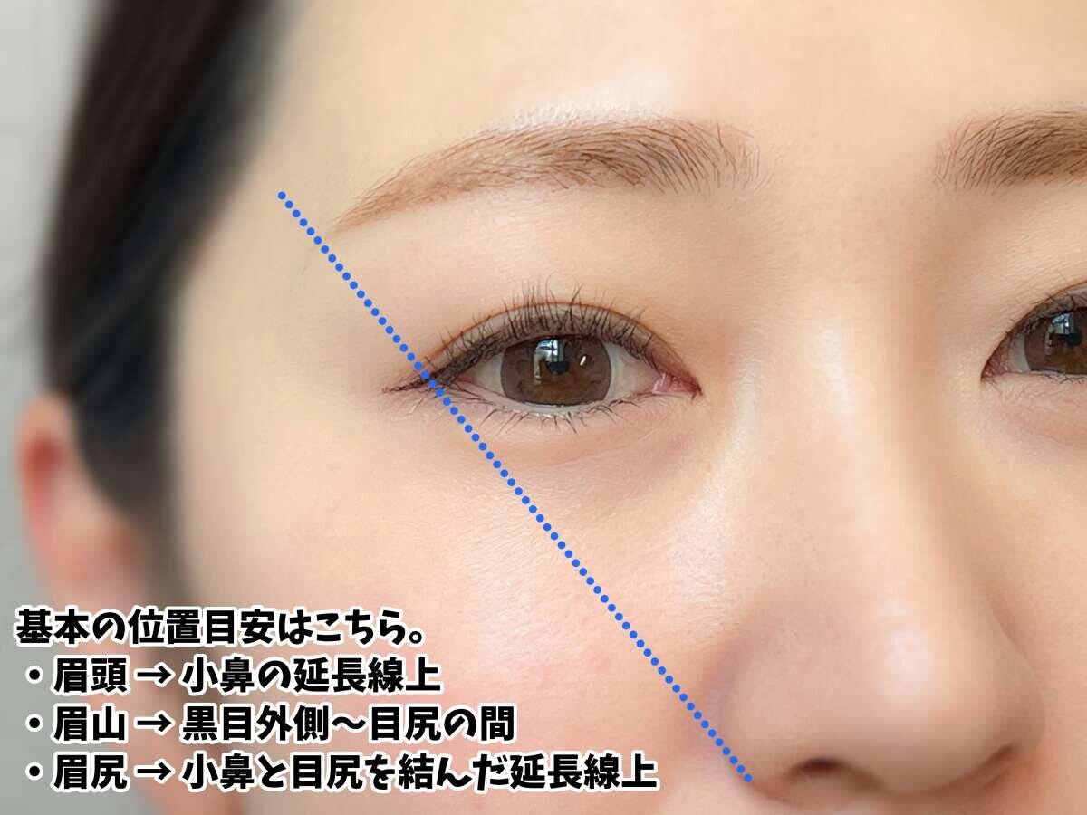眉頭・眉山・眉尻の基本位置を青い点線で示した目安
