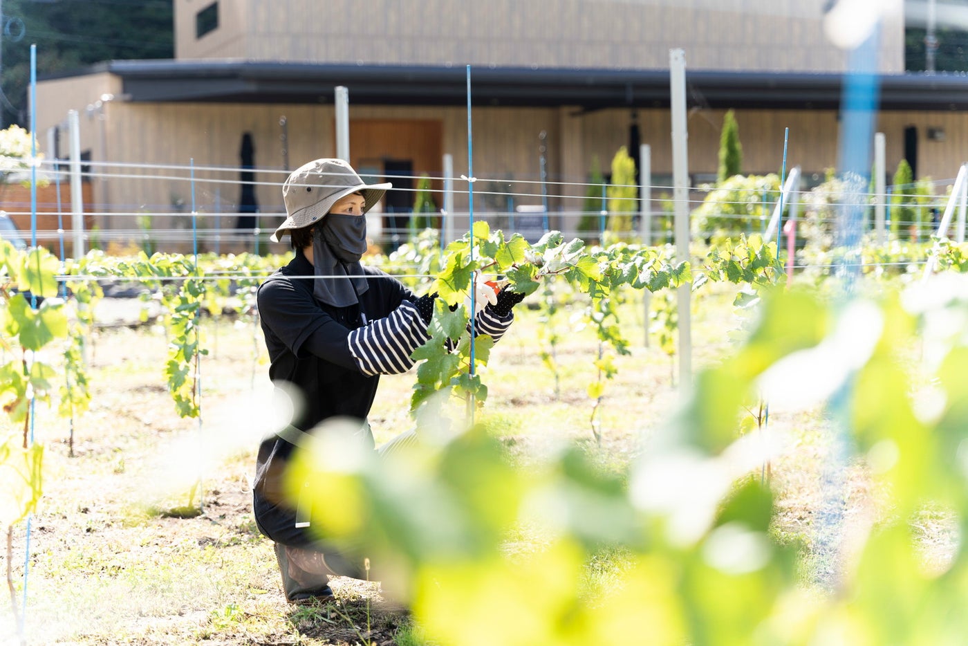 7c villa &amp; winery／提供画像