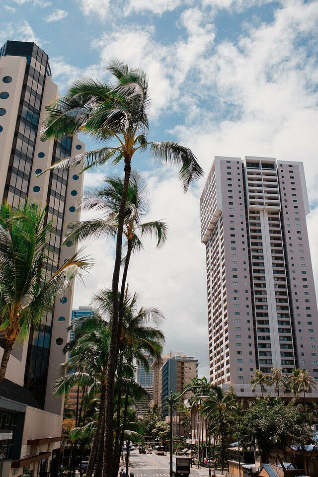 星野リゾート サーフジャック ハワイ／画像提供：星野リゾート