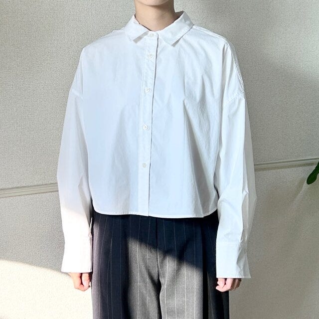 PLSTタイプライタークロップドシャツ PLSTタイプライタークロップドシャツMサイズ着用感