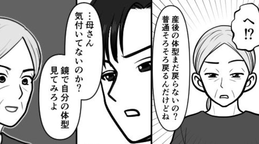 「産み終わったのに、その体型？」嫁を貶す義母。しかし⇒夫「母さん…鏡見てみろよ？」イヤミでやり返した【結果】！？