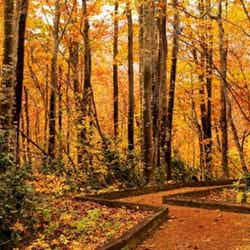 浅草山麓エコ・ミュージアム/提供素材