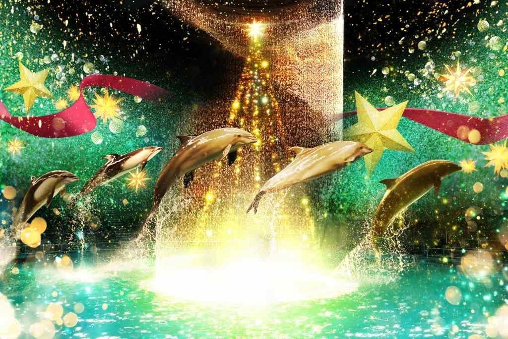 「アクアパーク品川」星降る海のクリスマス　新感覚ドルフィンパフォーマンスは必見