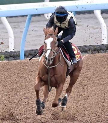 【秋華賞】サムシングスイート 待望の初G1でガッツ見せる 500キロ近い馬体で2戦連続イン突き カイ食いも輸送も心配なし