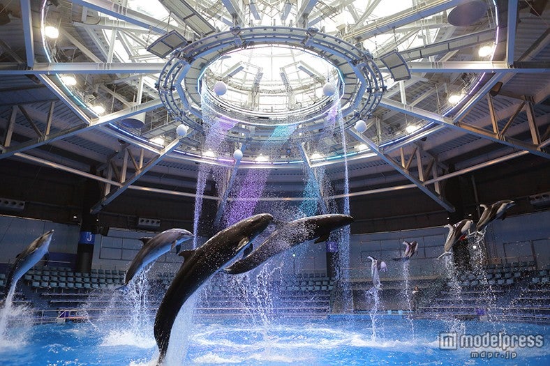 デイパフォーマンス（空間イメージ）／画像提供：横浜八景島