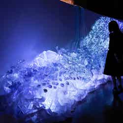 04:FROZEN FLOWERS(フローズン フラワーズ)/画像提供:ネイキッド