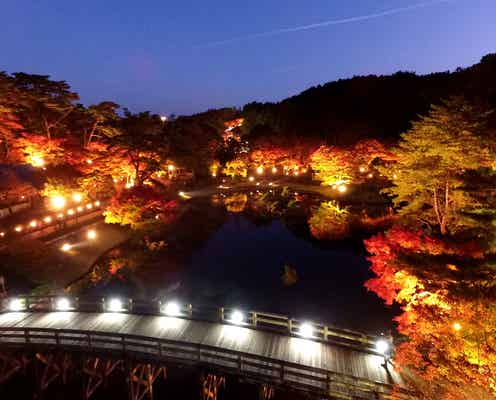 静岡・修善寺虹の郷で「もみじライトアップ」約1,000本の木々が光り輝く イルミイベントも同時開催