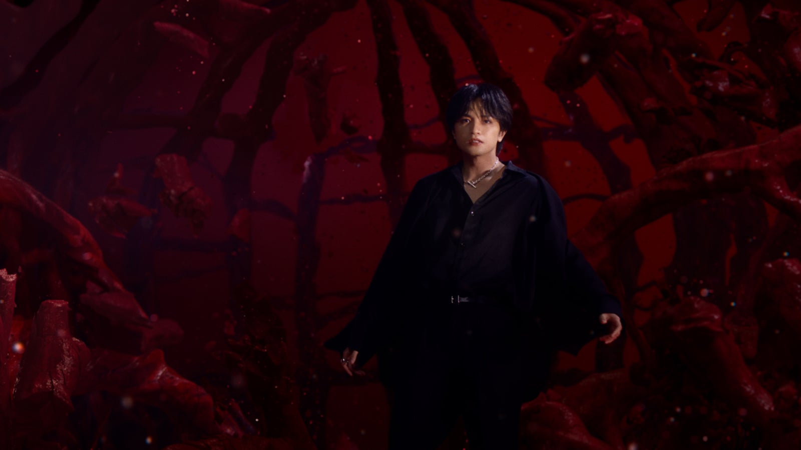 中島健人（提供写真）