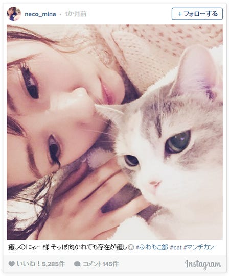 モデル タレントの ペット専用インスタ ブームに注目 アイドル級 愛猫 愛犬に数万フォロワー モデルプレス モデル タレントの ペット専用インスタ ブームに注目 アイドル級 愛猫 愛犬に数万フォロワー モデルプレス