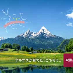 ケーファーアルプスキッチン/提供画像