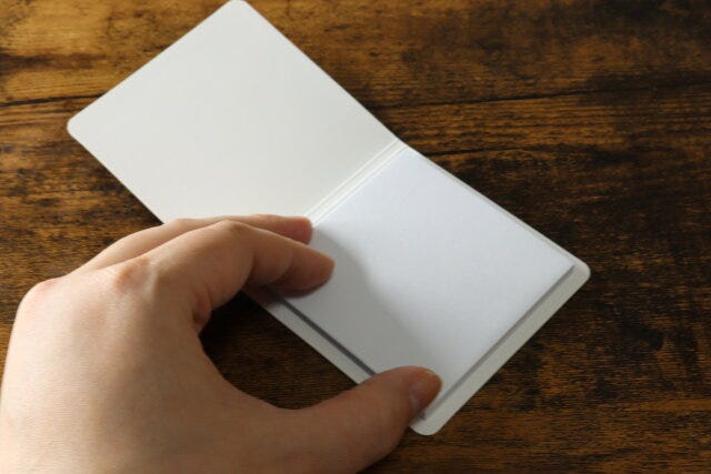 持ち運べる毛取りクリーナー　セリア　冊子状