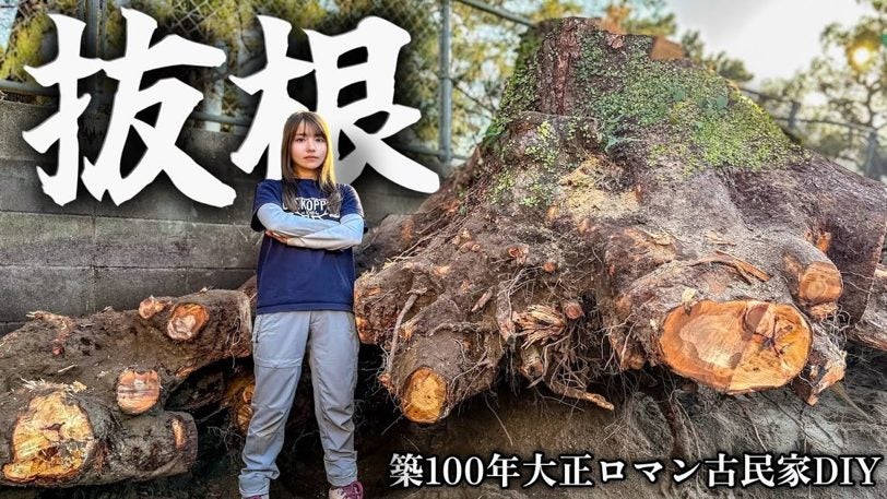 推定3トンの巨大抜根に死闘1か月、こつぶが挑む古民家DIY