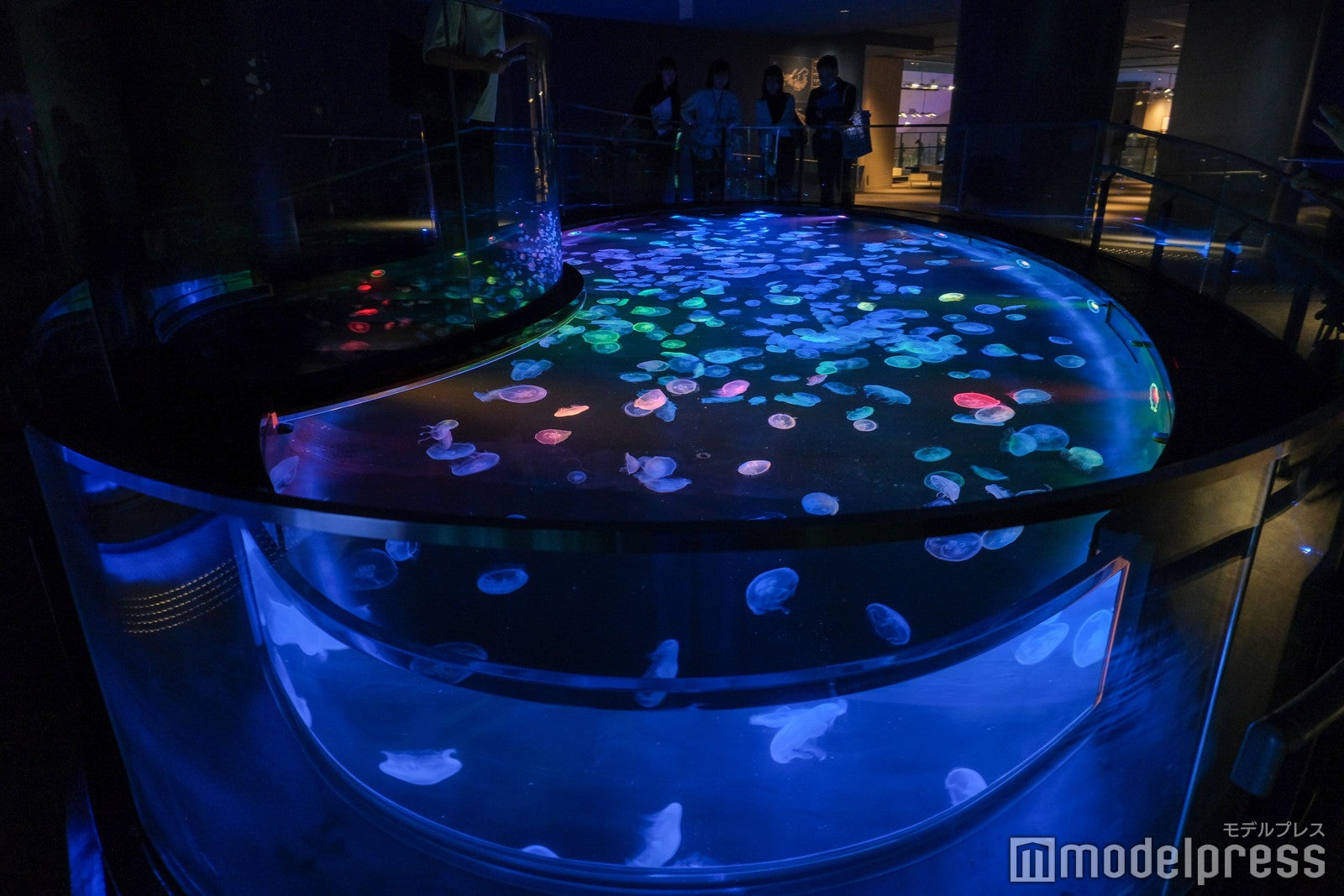 すみだ水族館（C）モデルプレス