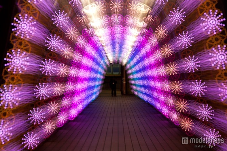 全長約140mの光の回廊「ミルキーウェイ」