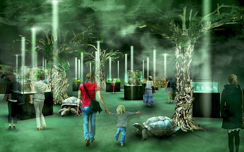 アトア／画像提供：アクアメント